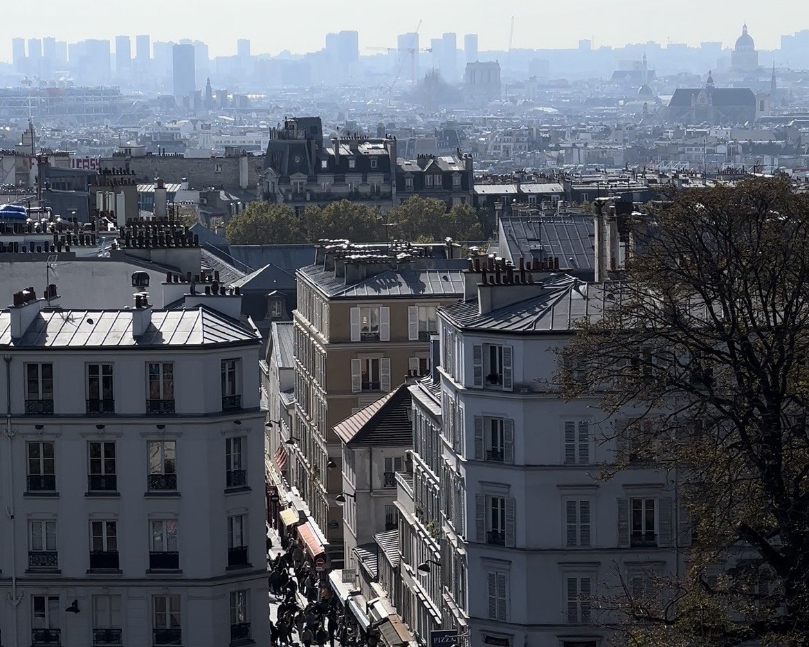 Paris rooftops and skyline viewed from above